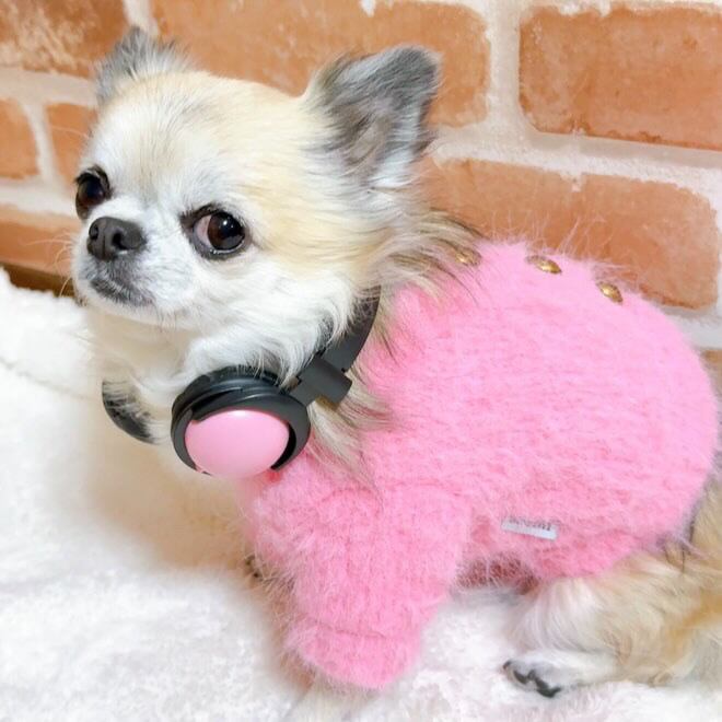 【seenii】 powder jacket (pink)