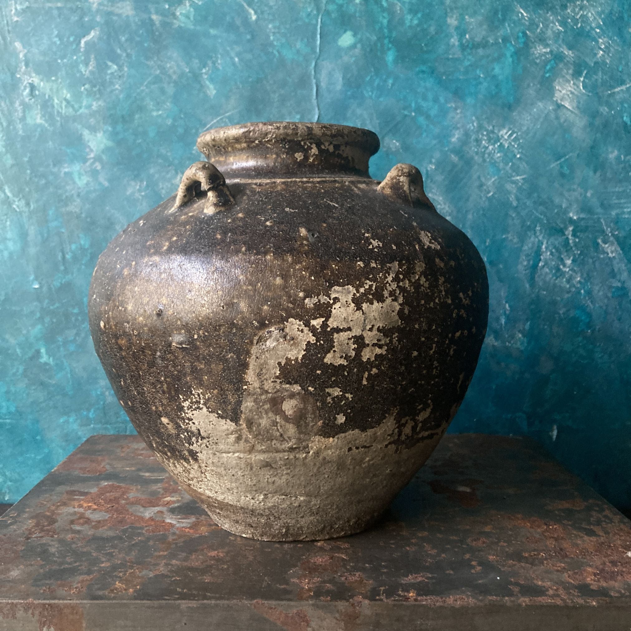 陶磁器 | Myshica Antik
