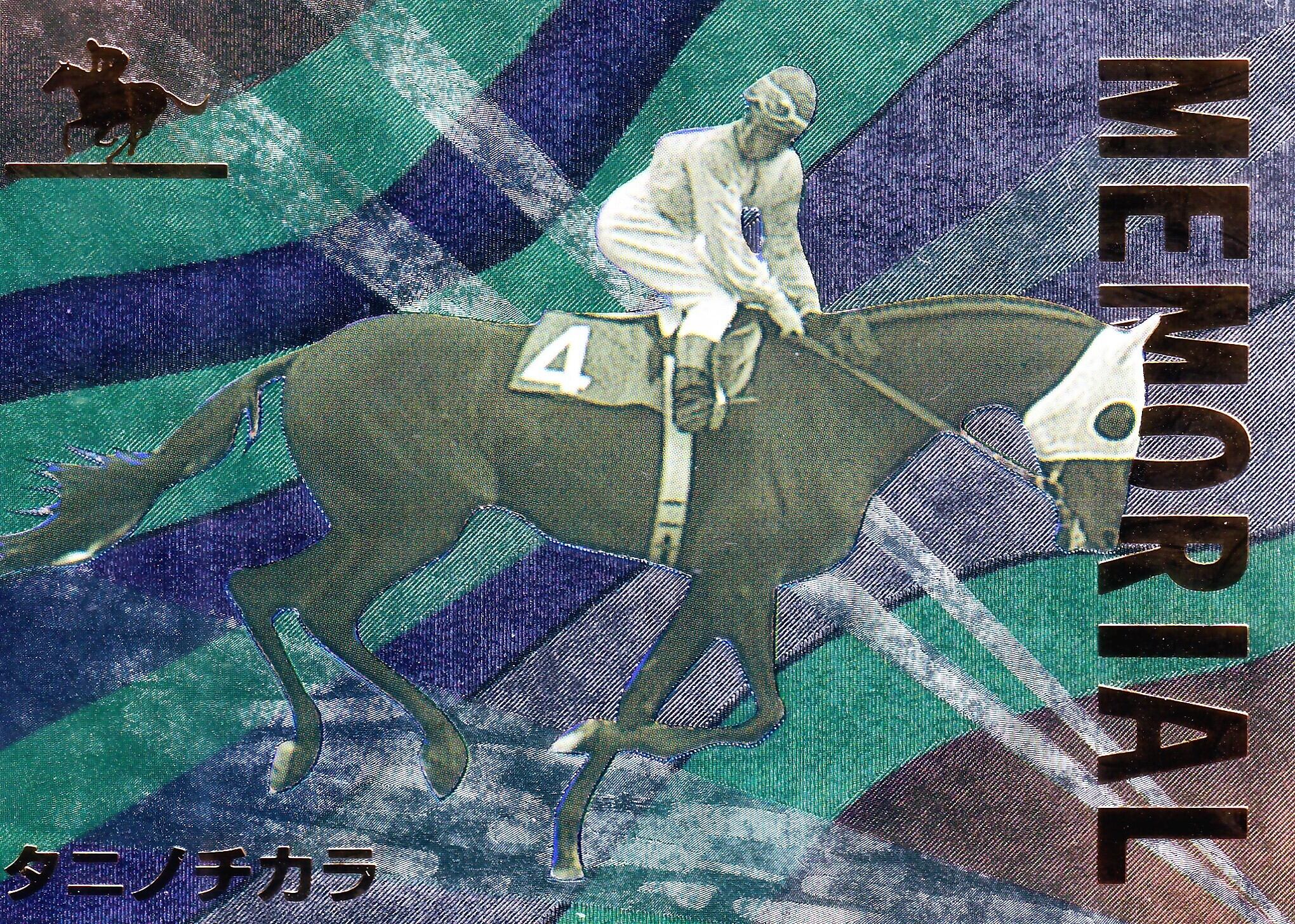 150枚限定 ウイニングチケット 競馬カード サラブレッドカード 150枚限定 ウイニングチケット 競馬カード サラブレッドカード