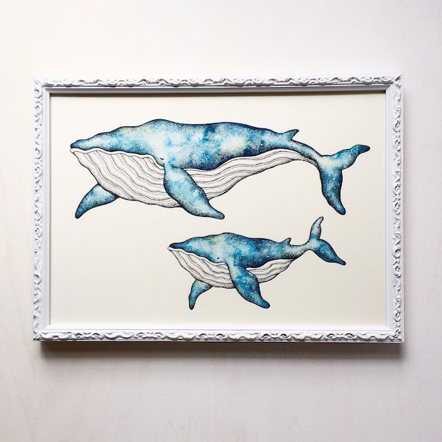 A4 クジラの親子 アートプリント/イラスト複製画
