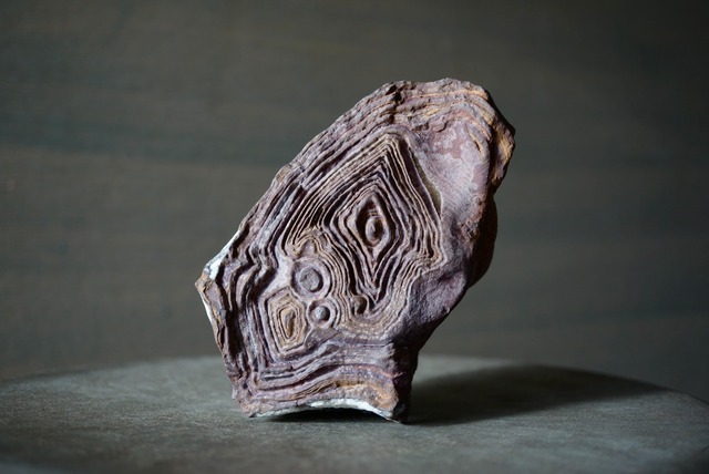 クムル産火山砕屑岩 Volcano-sedimentary Rock 1125