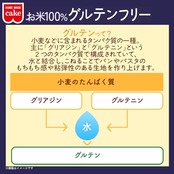 ホームメイド うるち米(国産)米の粉 お徳用 1kg