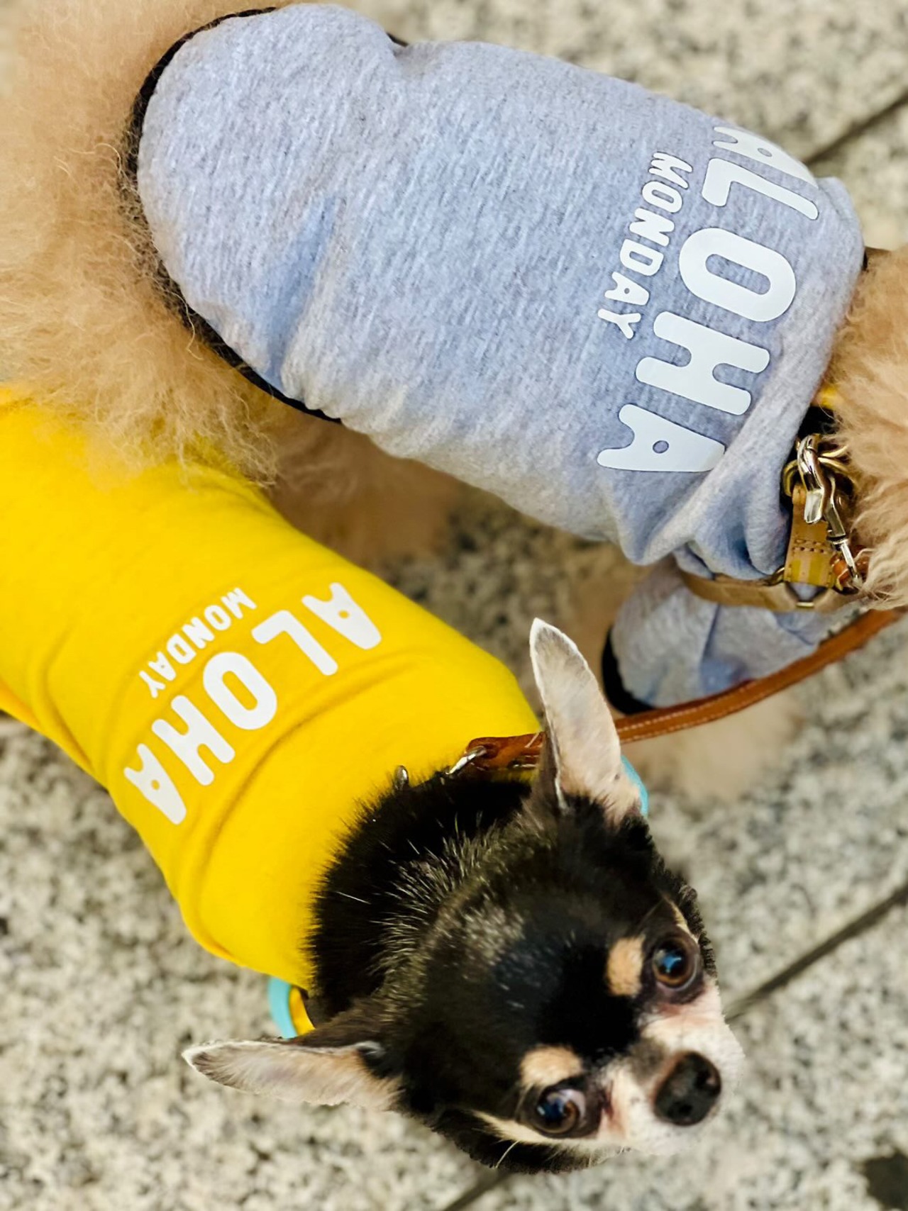 【NALU select】ALOHA Tシャツ