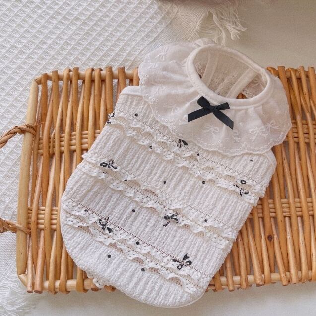 《予約》1103184 レーストップス