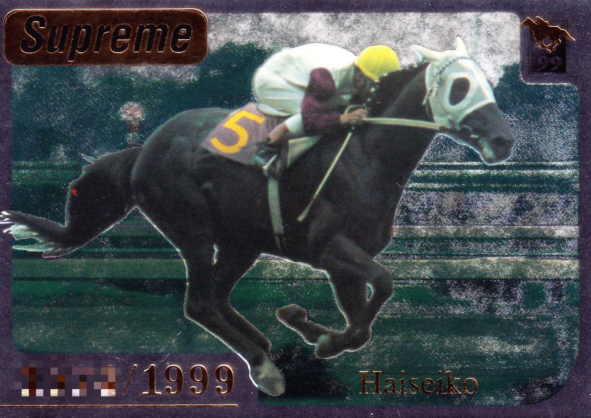 サラブレッドカード | カードショップ うるま屋