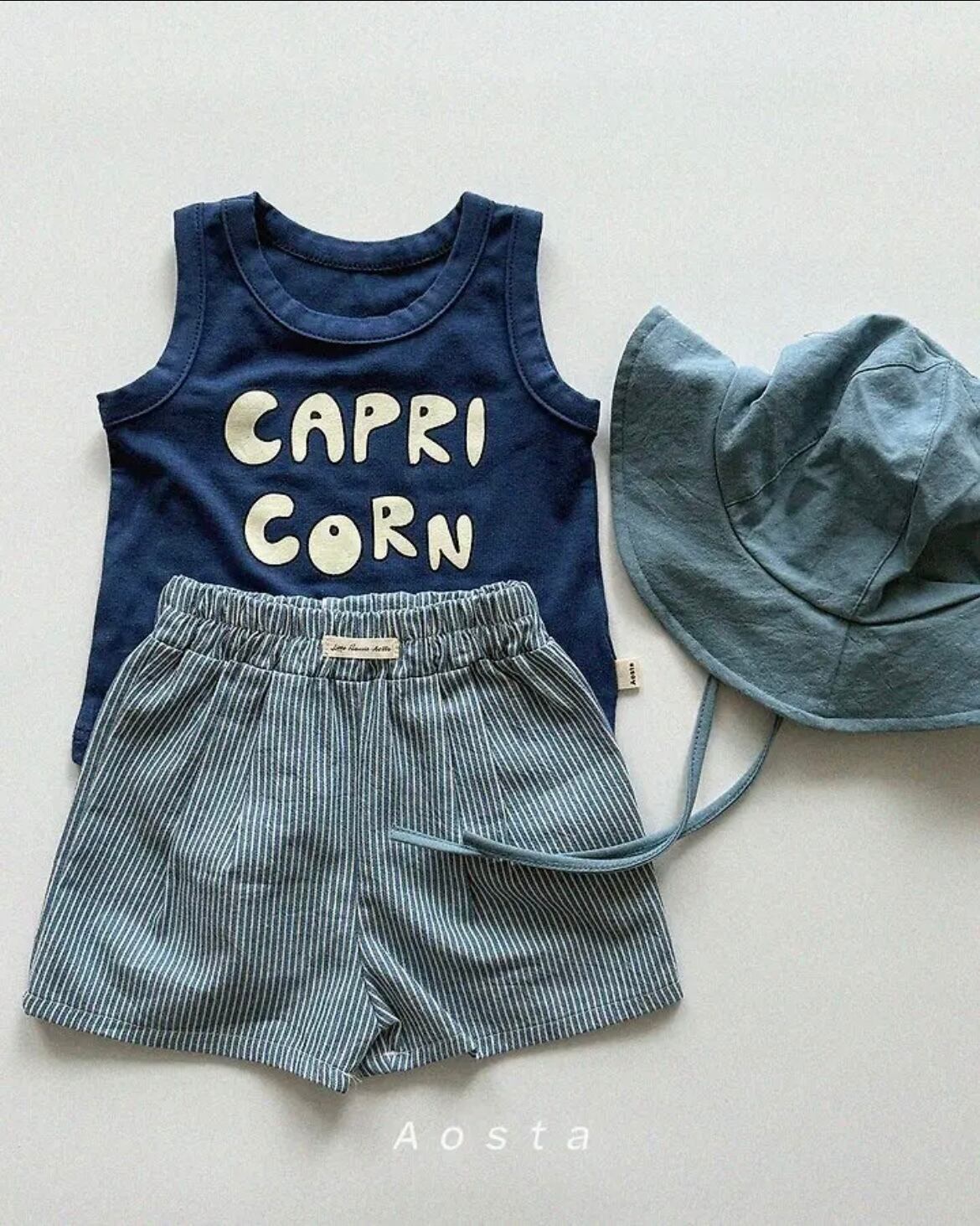 カプリコーンT/AOSTA