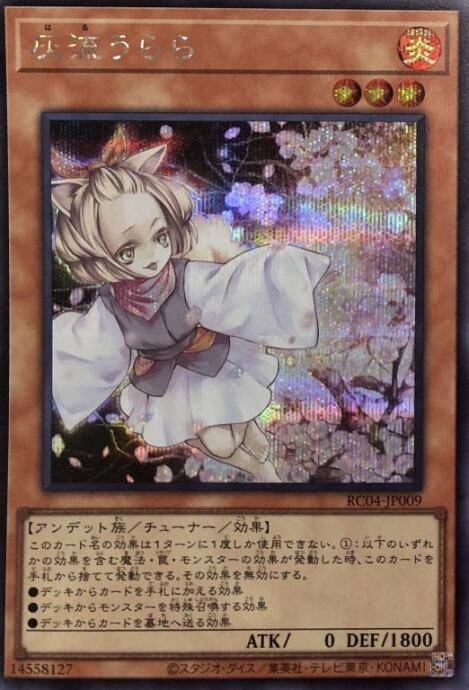 【美品】灰流うらら(RC04シク)