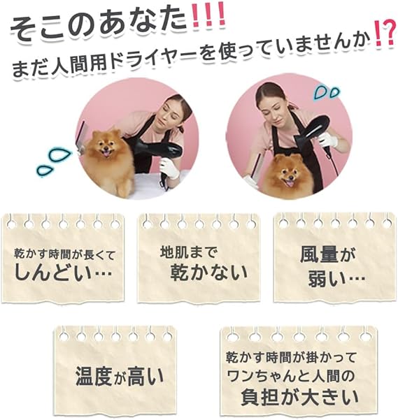 A 訳あり DOGOne ペットドライヤー 犬 クイックドライ 強風 ブラック