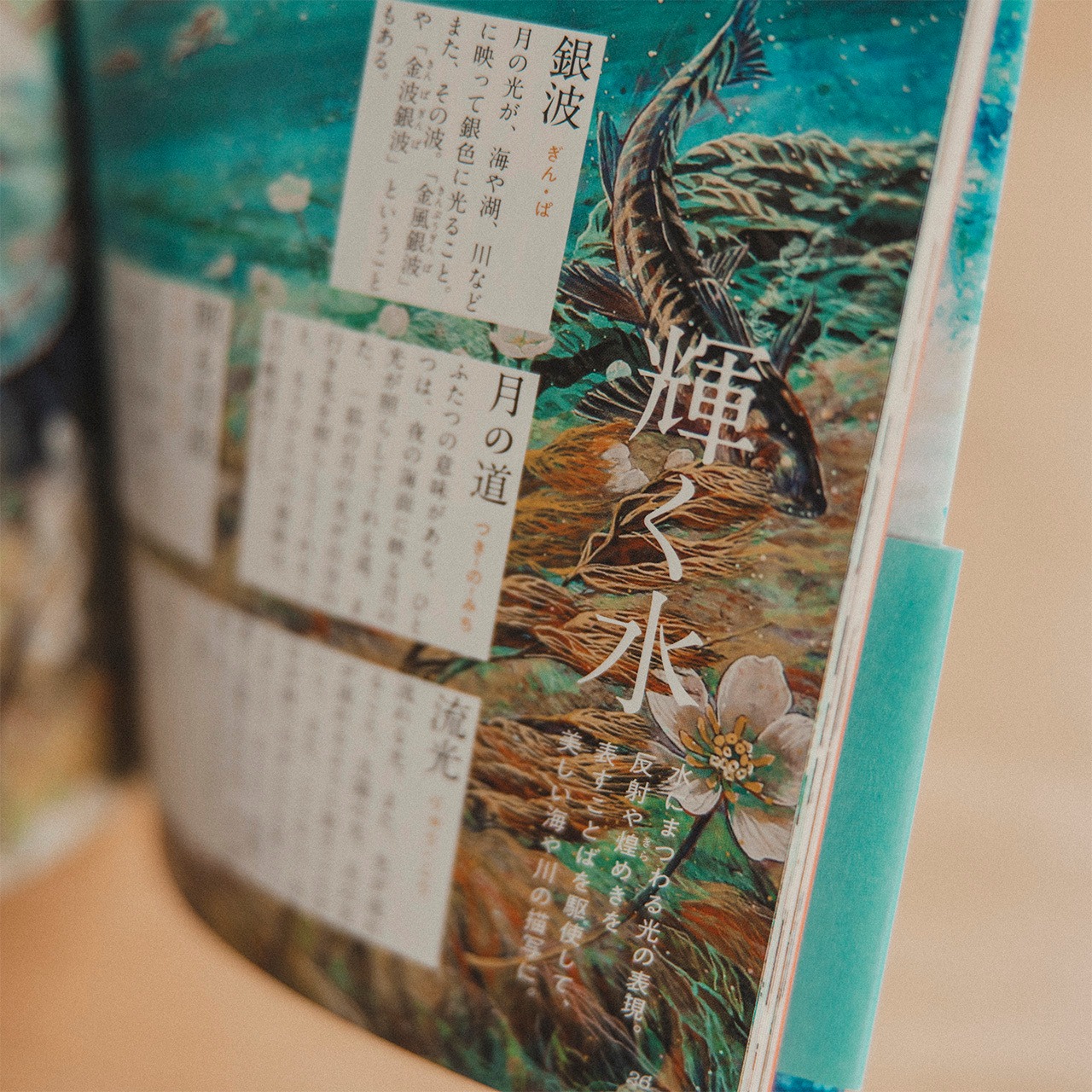 世界とあなたの色の記憶セット