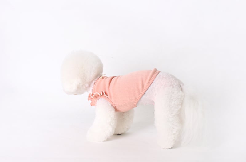 【SALE】  spring frill top S ~ XL 3color / ワンコ服 犬服 新作 可愛い 犬の服 お出かけ ペット洋服 春夏 ドッグウェア