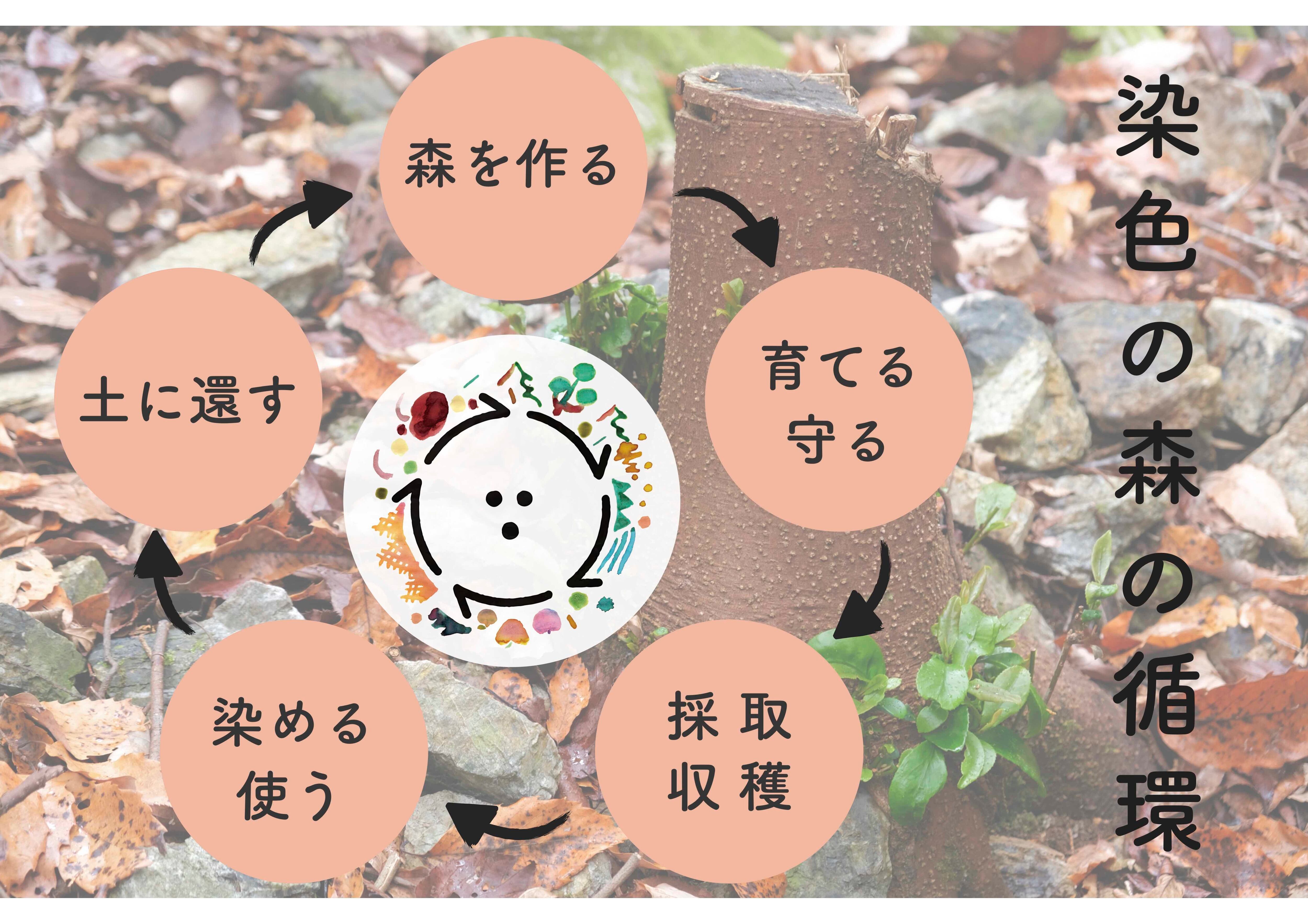 美品　櫛引　草木染め　東京ますいわ屋　はればれ加工 商品のご案内 ｜ 東京ますいわ屋