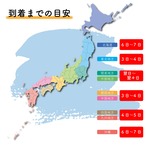 干し芋（丸干し）