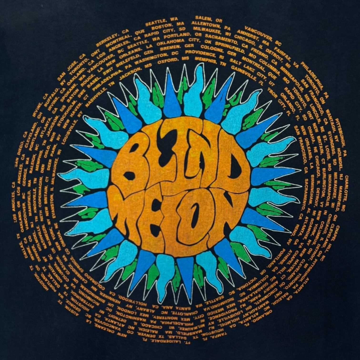 90s ヴィンテージ BLIND MELON ブラインドメロン ツアー Tシャツ 