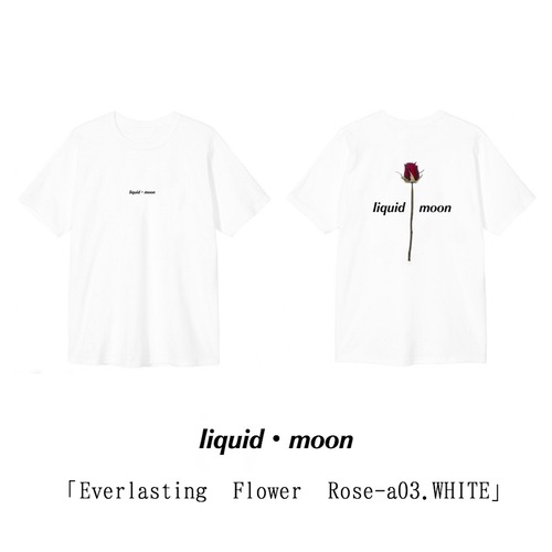 「Everlasting Flower Rose-a03.WHITE」