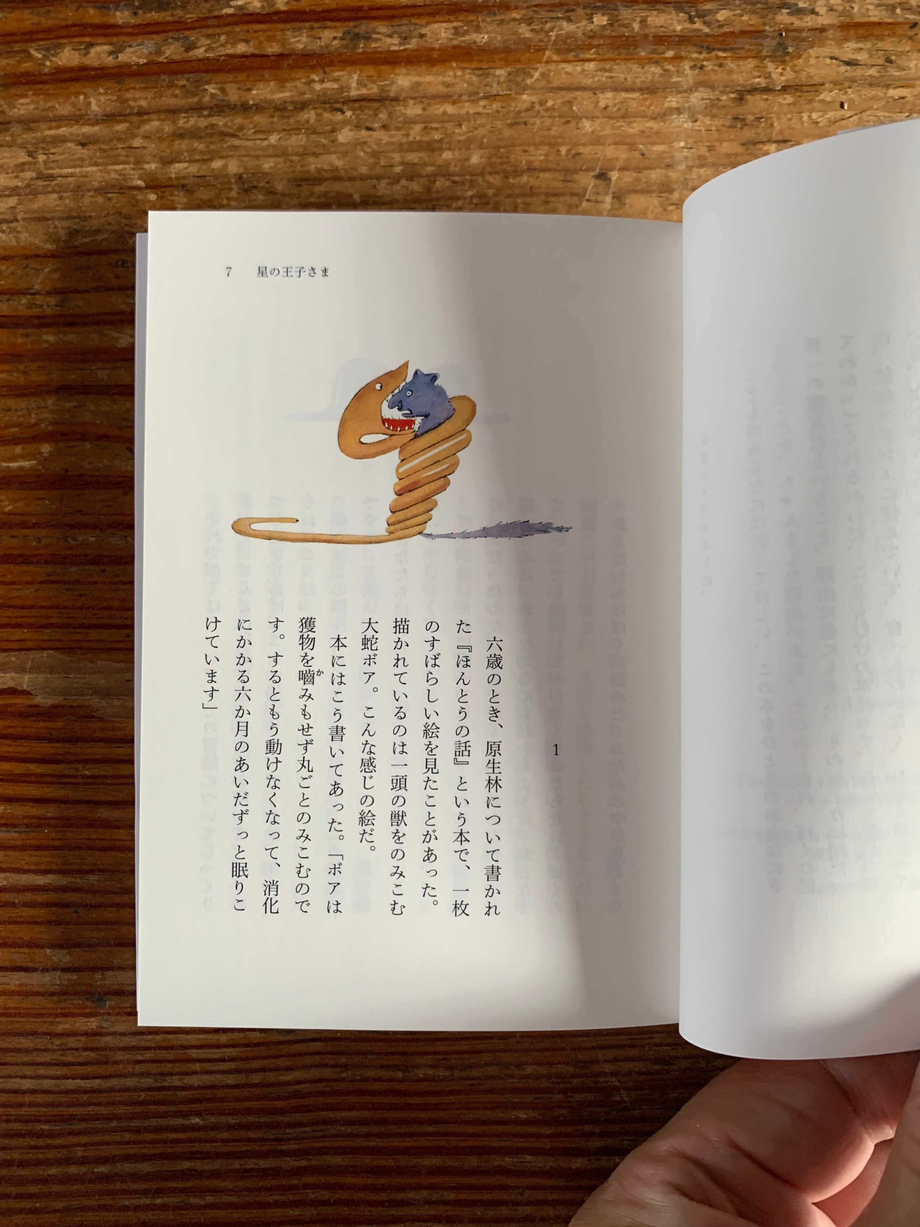 サン・テグジュペリ著、管啓次郎訳『星の王子さま』 | STANDARD BOOKSTORE