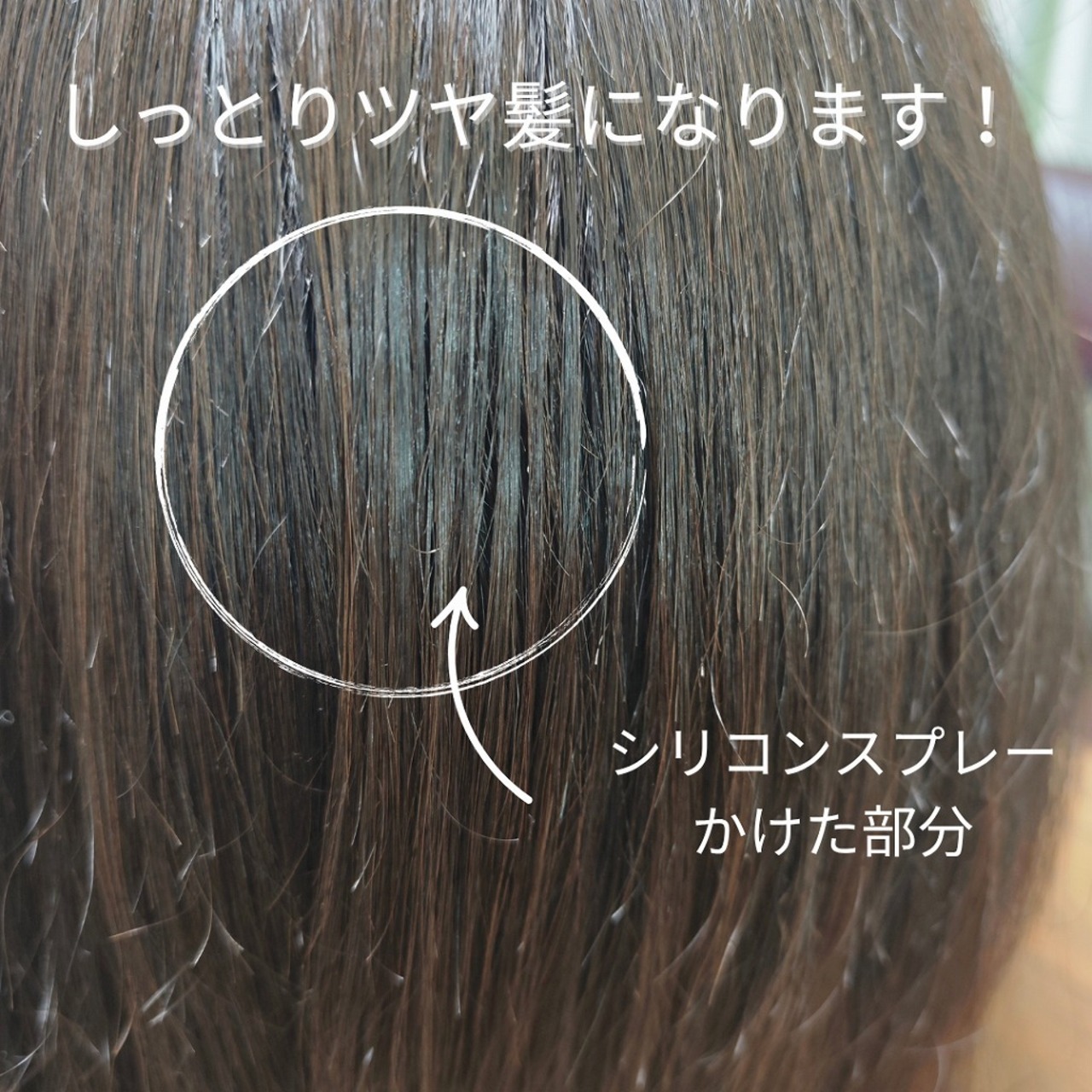 高分子シリコンスプレー 枝毛コート ランス グラディスプレー|人毛ウィッグ 枝毛・乾燥を防ぐ プロ用保護スプレー