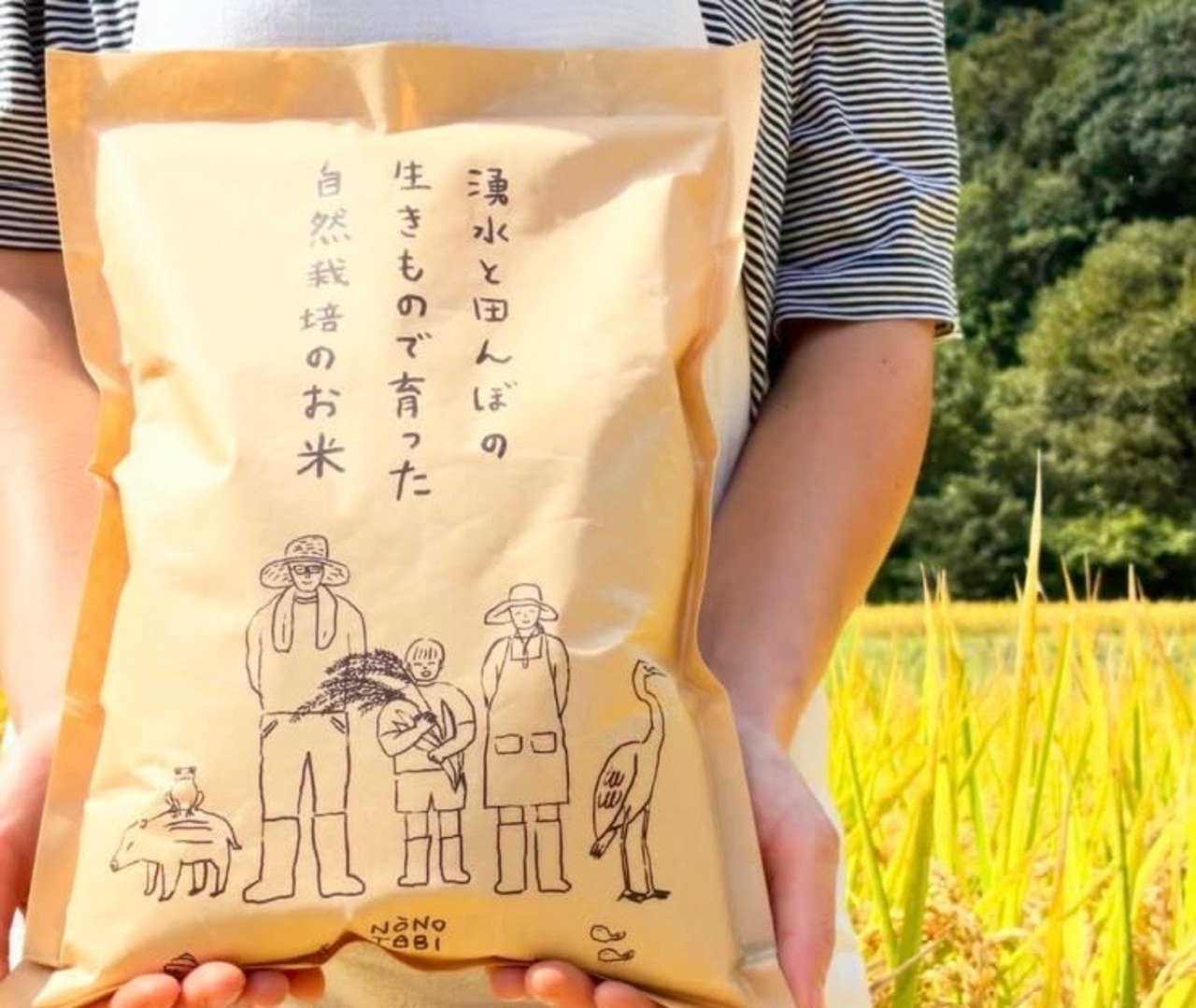 ノノタビNONOTABI 令和8年産 新米 白米2キロ