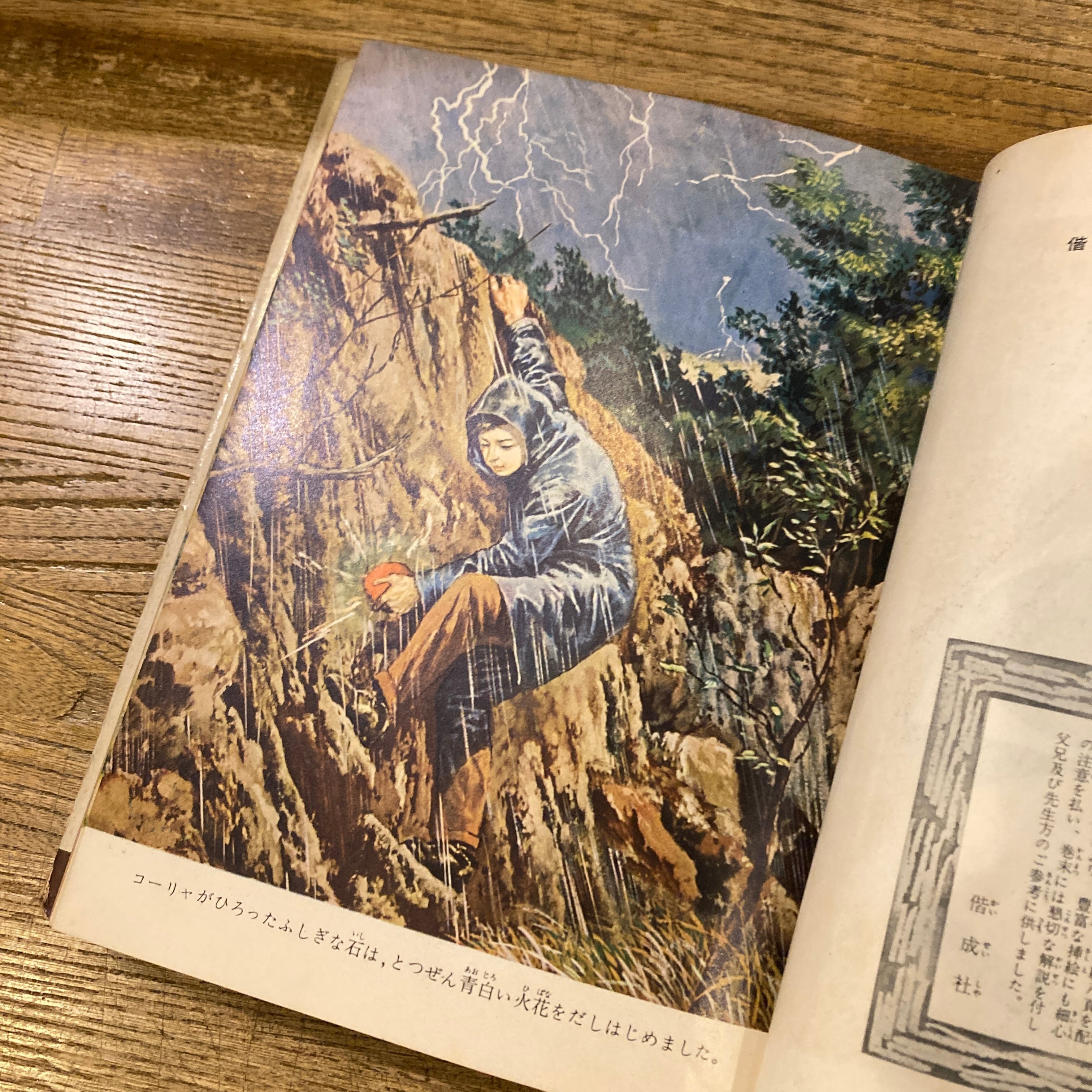 なぞの宇宙人 偕成社・児童名作シリーズ ポレシチューク 作 / 袋一平 訳 なぞの宇宙人 名作冒険全集38 / ボレシチューク、袋一平 | 百年