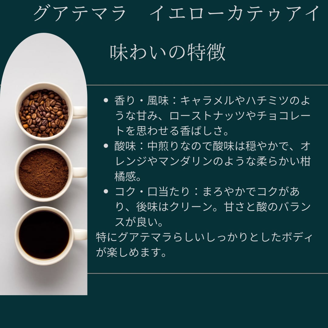 定期便ダークロストセレクション150gx2