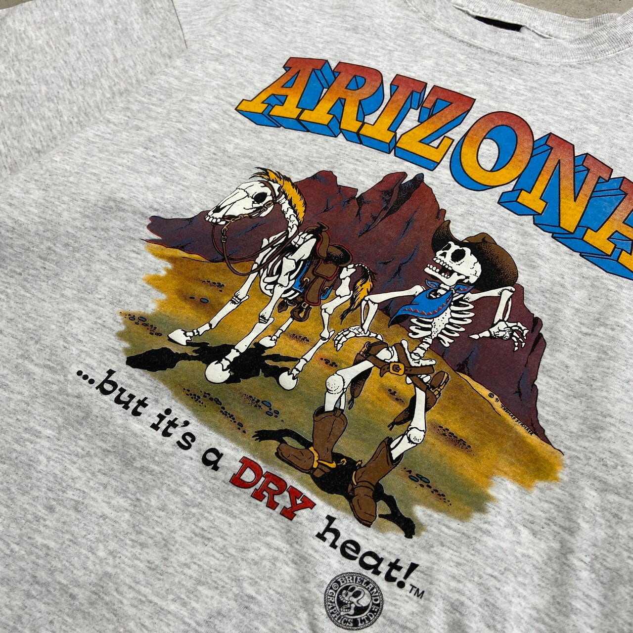 90年代 USA製 ARIZONA アリゾナ スーベニアプリントTシャツ 骸骨 