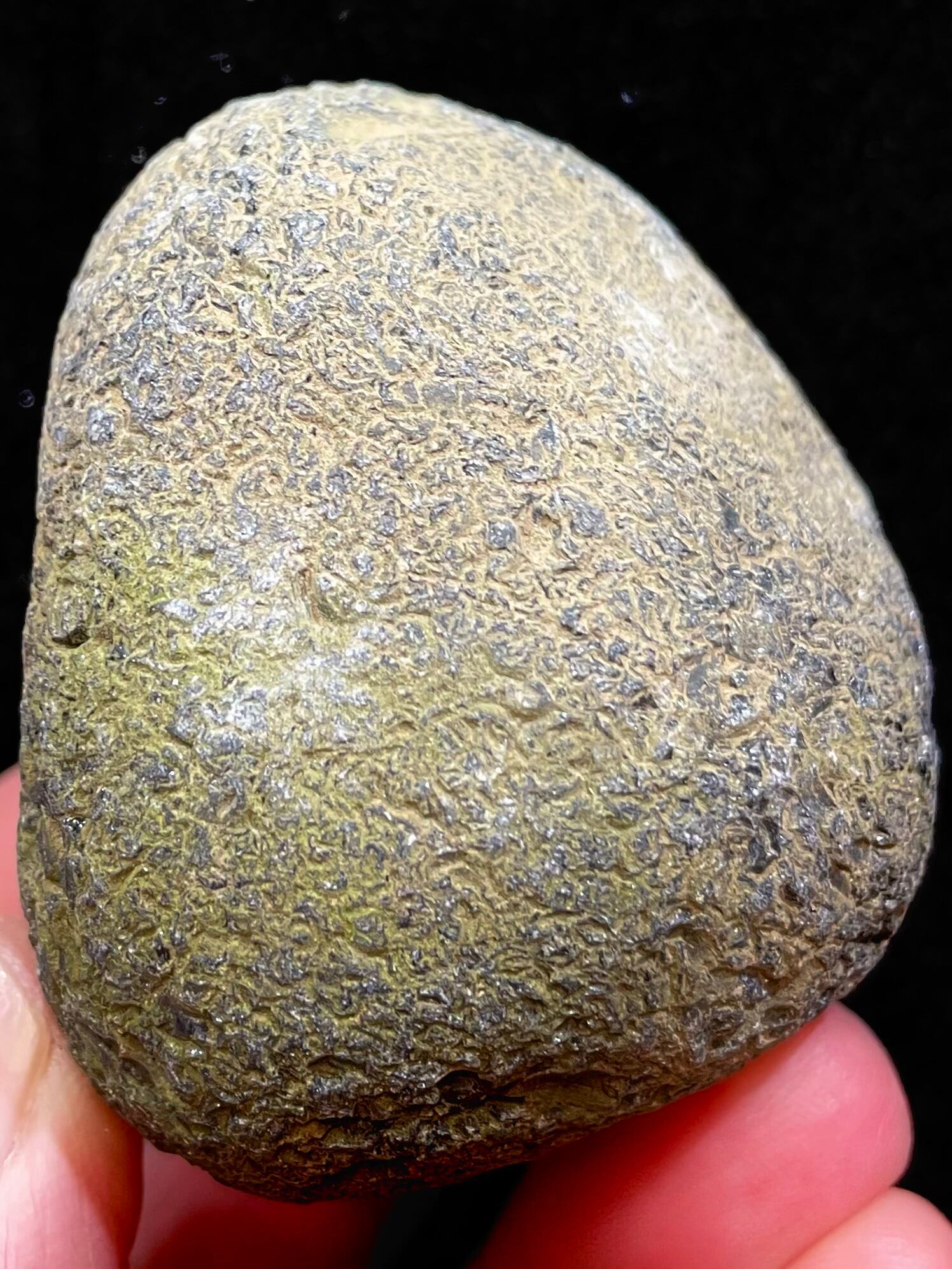 10) 神聖「神威の魂(カムイノタマシイ)」