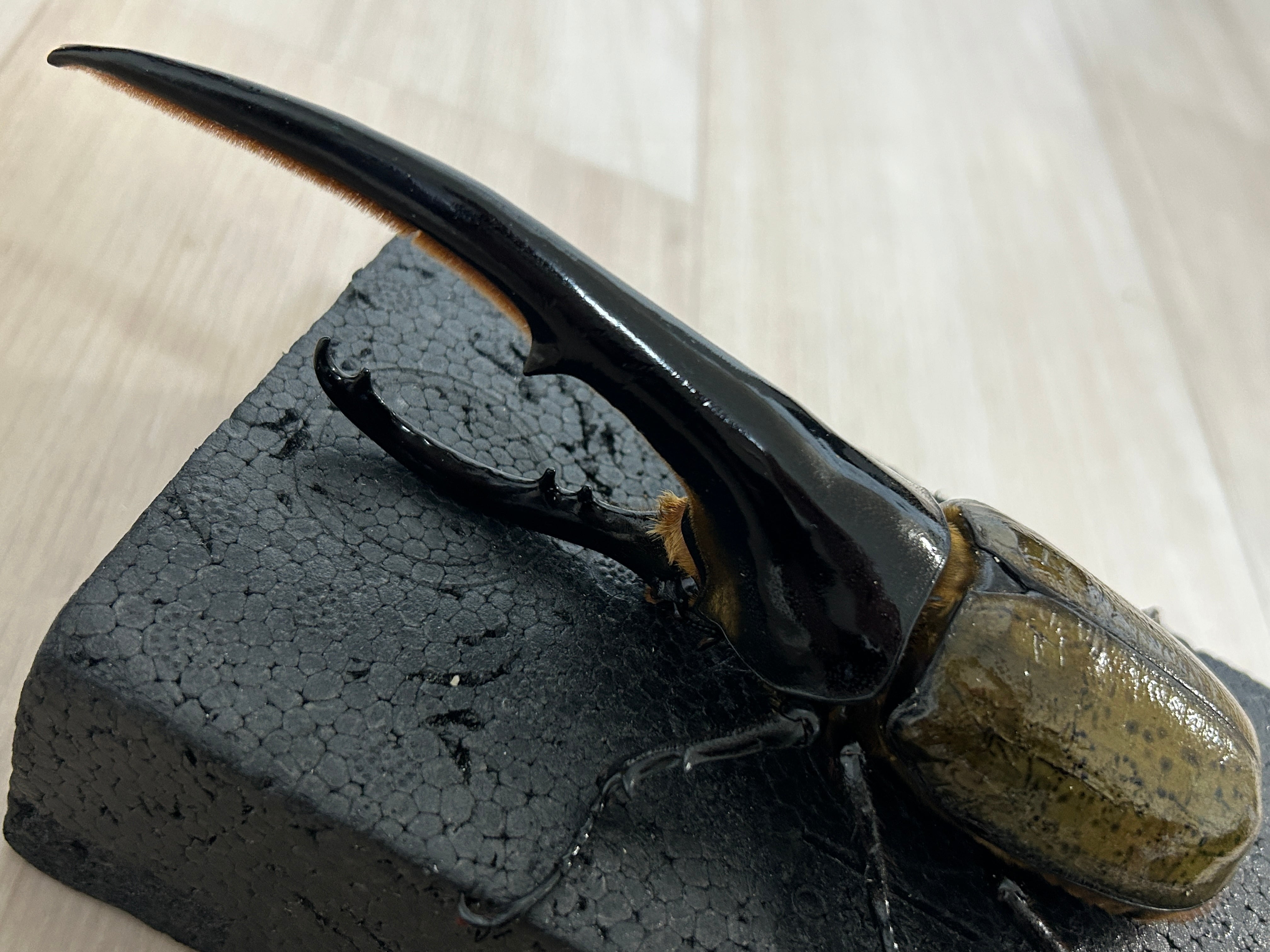 ヘラクレスとリュカ　オブジェ　置物 ヘラクレスとリュカ オブジェ 置物