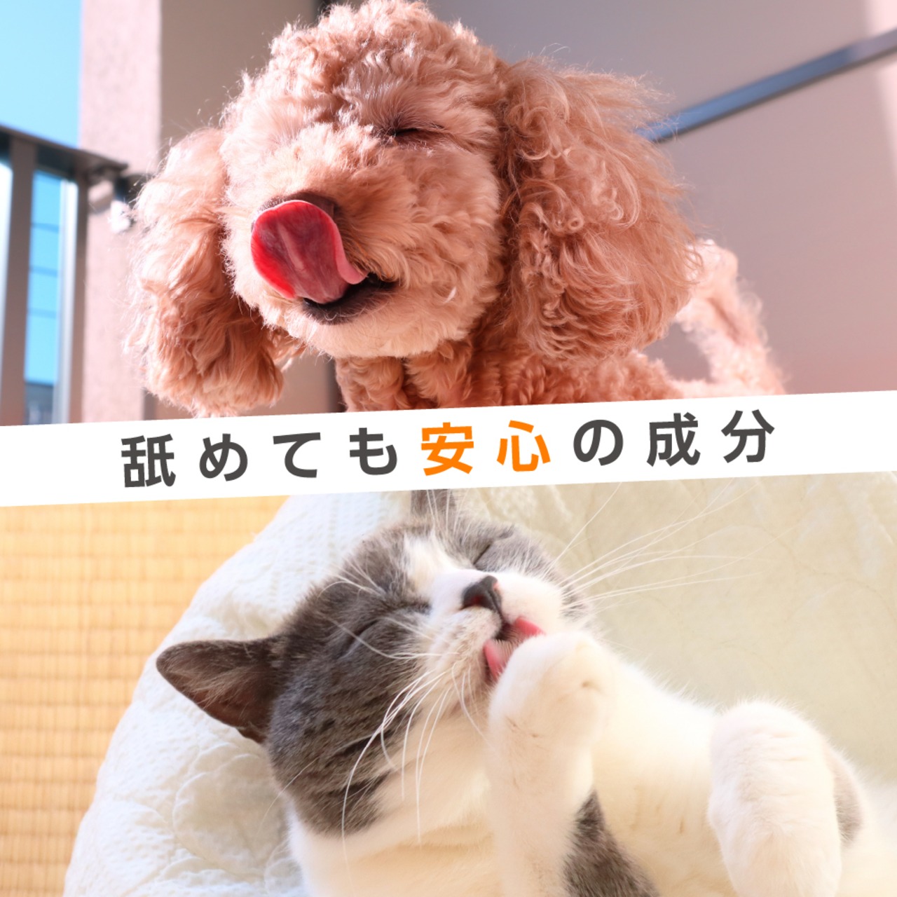 ミャオワン シャンプータオル 本体300枚入 バケツタイプ せっけんの香り