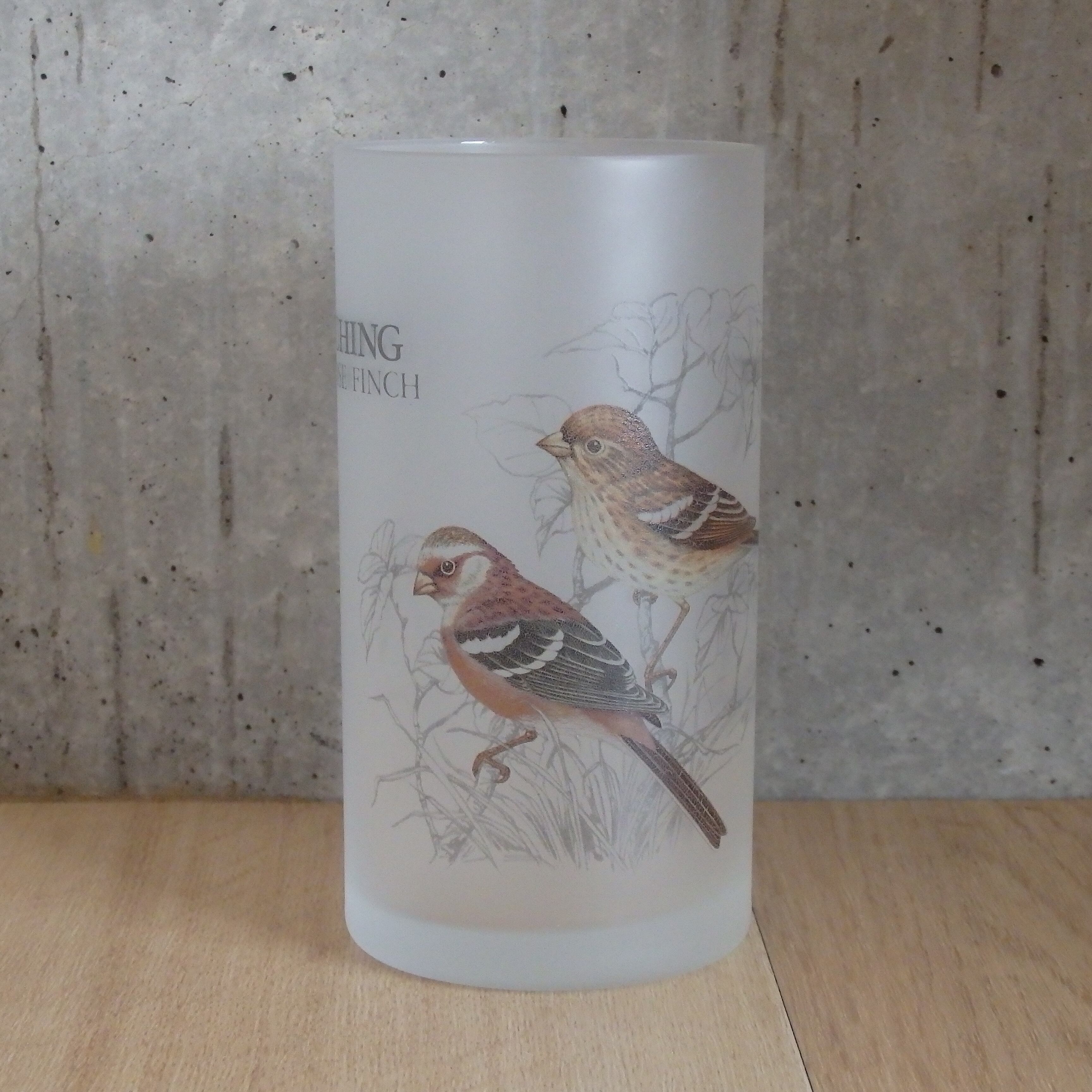 バードウォッチング グラスセット HOYAガラス | 珍品マーケット