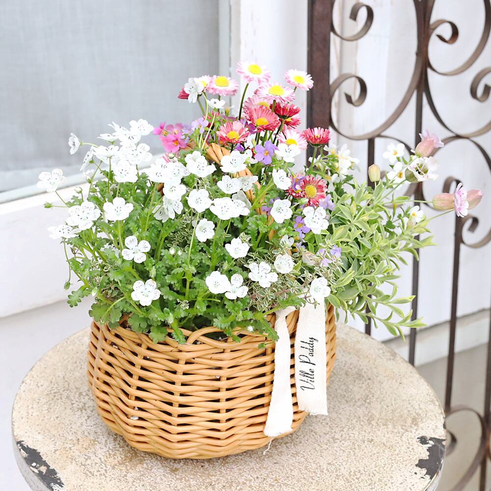 季節の花 寄せ植え おまかせ バスケット プチ ナチュラル おしゃれ 母