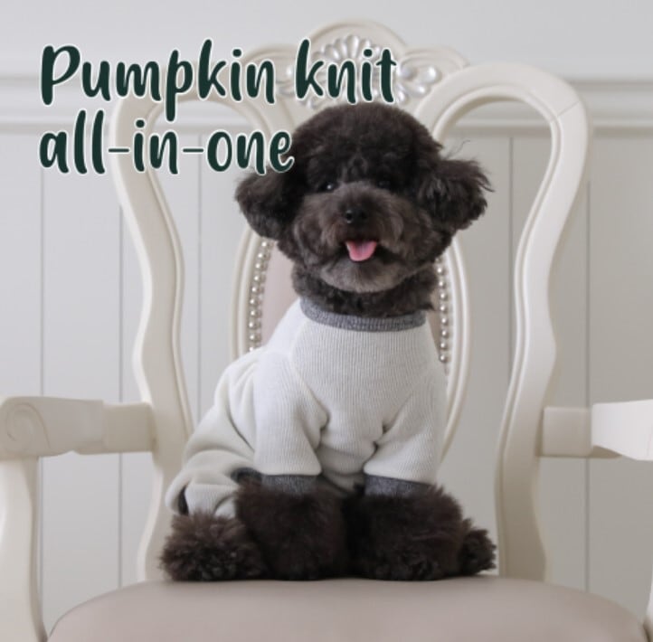L/即納【SSFW】Pumpkin Knit Allinone《White》