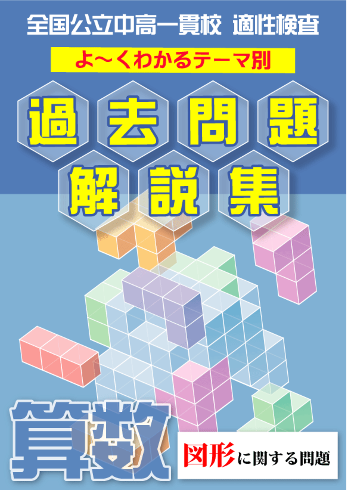 非売品　都立中学校　過去問題集　適性検査全問題収録　平成25～28年度　11校