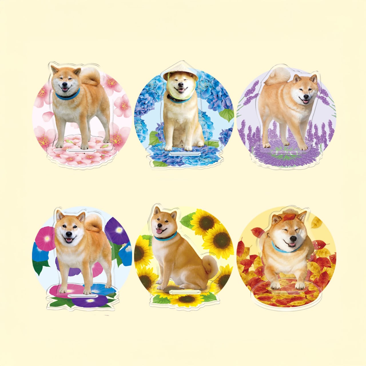 柴犬まる☆アクリルスタンド | MARUTARO SHOP