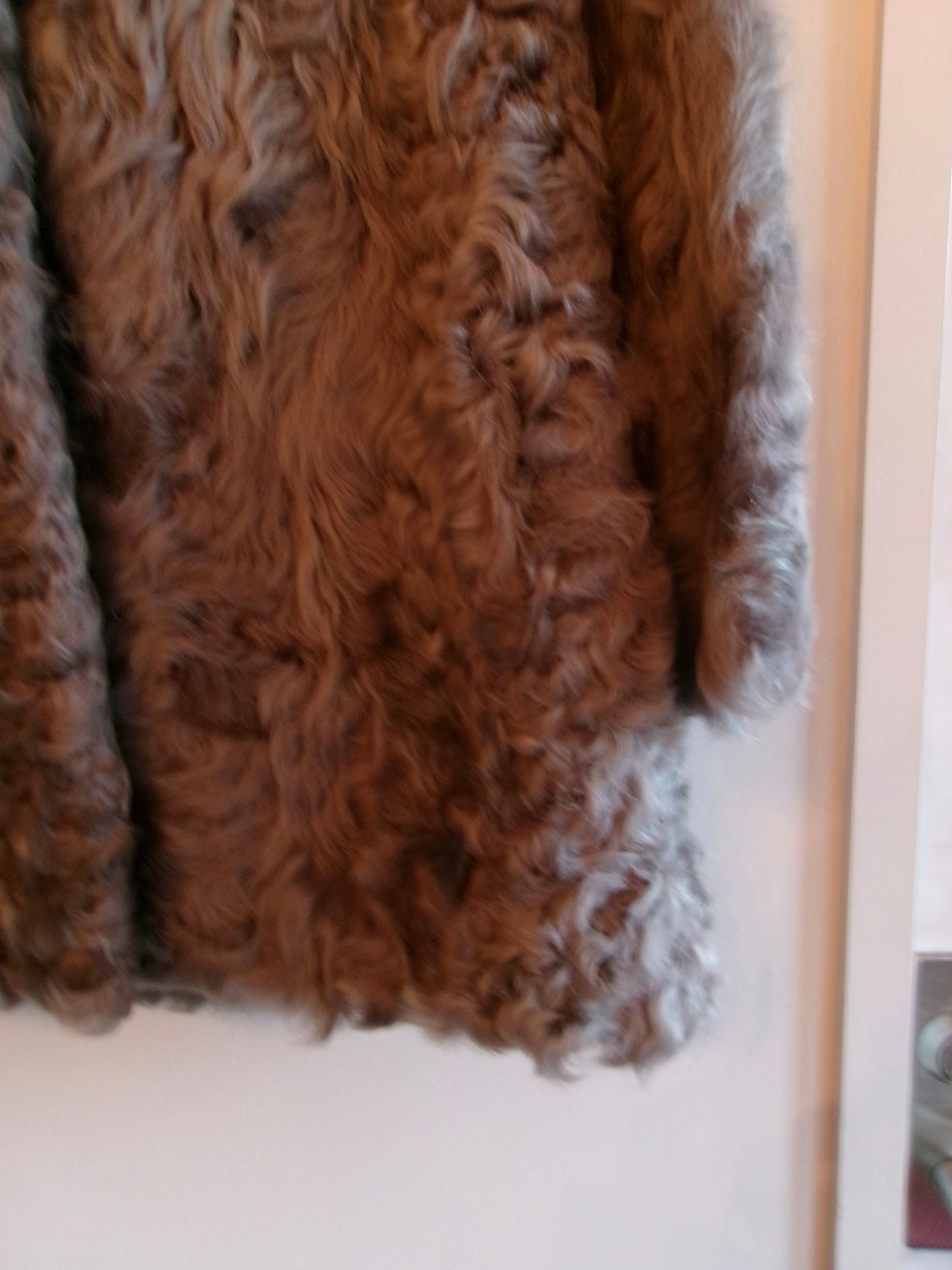Fur coat