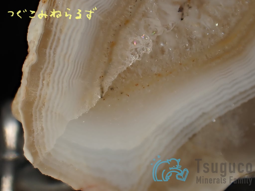 アゲート 瑪瑙 Agate ドイツ TM-0020