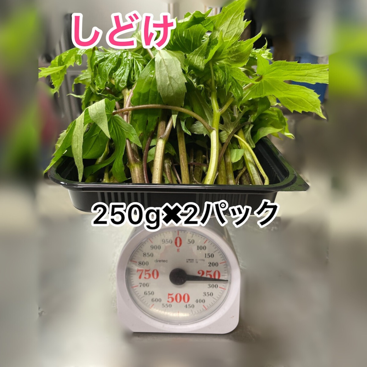 山奥のしどけ 250g✖︎2パック | 原生林の熊