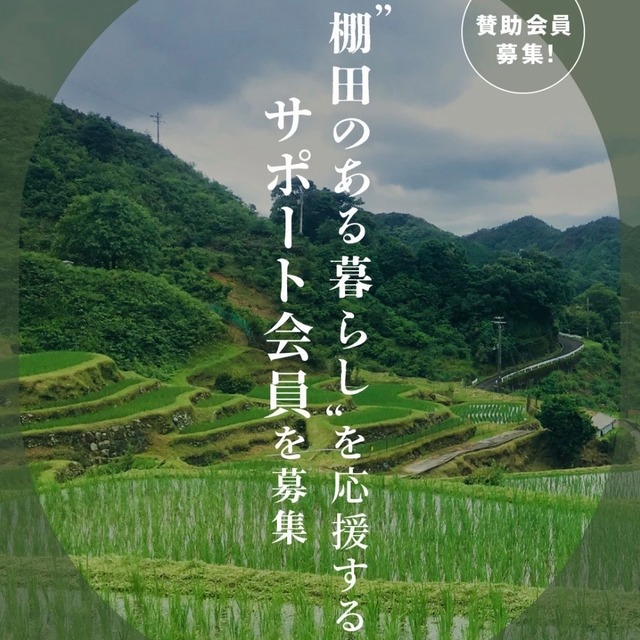 祝20周年！棚田米の玄米ほうじ茶  お得な¥3900セット