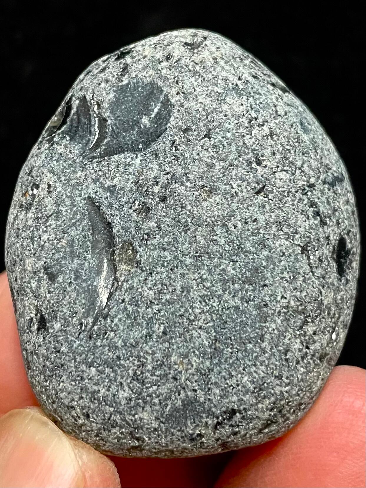 9) スーパー「隠岐の島」黒曜石(中型)