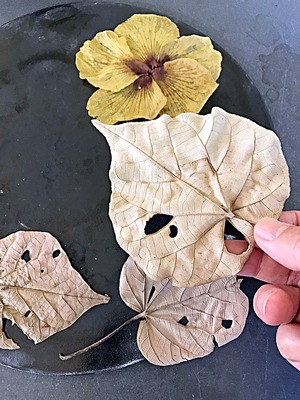 ゆうなの花　特大大皿　HAKU