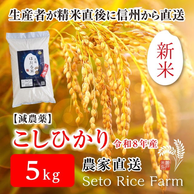 【R8年度 新米】減農薬 こしひかり 5kg 日本を代表するブランド米 甘味と強い粘りが特徴で冷めても美味しいと人気が高い定番のお米♪