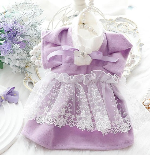 《予約》3101403 重ね着レースチュールワンピース