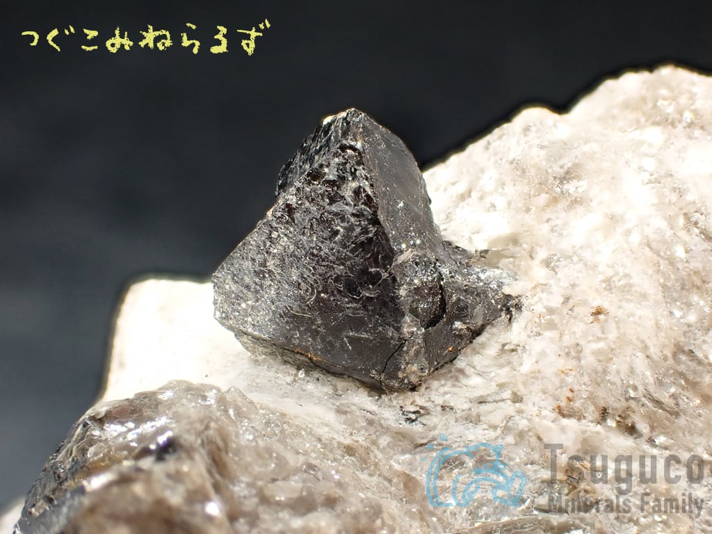 キャシテライト 錫石 Cassiterite スペイン TM-0023