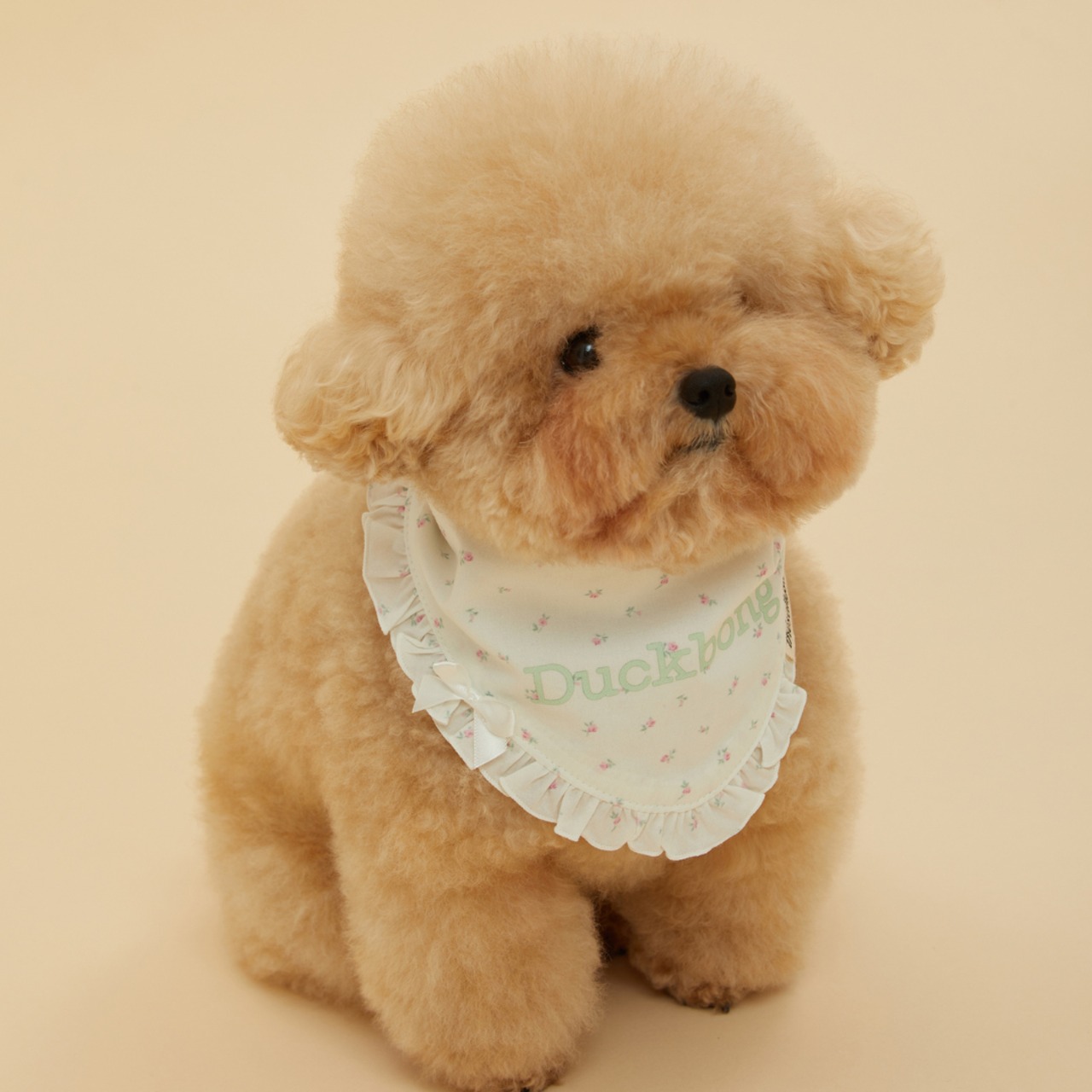 【予約】[ thesallyslaw ] Maybel Naming Bandana｜Floral - 9