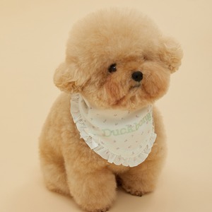 【予約】[ thesallyslaw ] Maybel Naming Bandana｜Floral