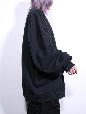 ”champion” 刺繍 logo wappen sweat pullover