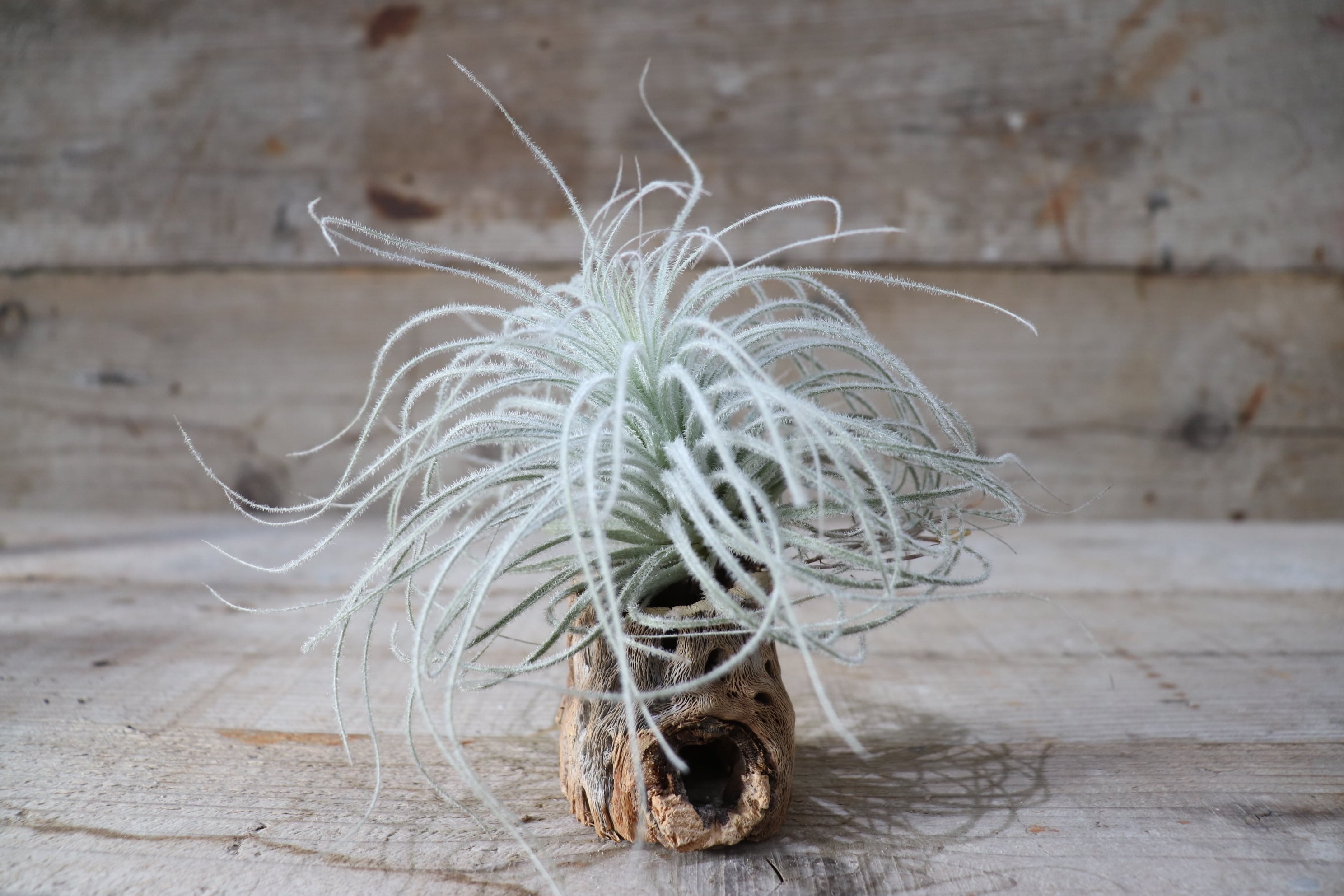 dbd45287248b1fba64c5e1beaf580c