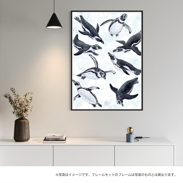 【海のいきものアートポスター／海鳥】マゼランペンギン