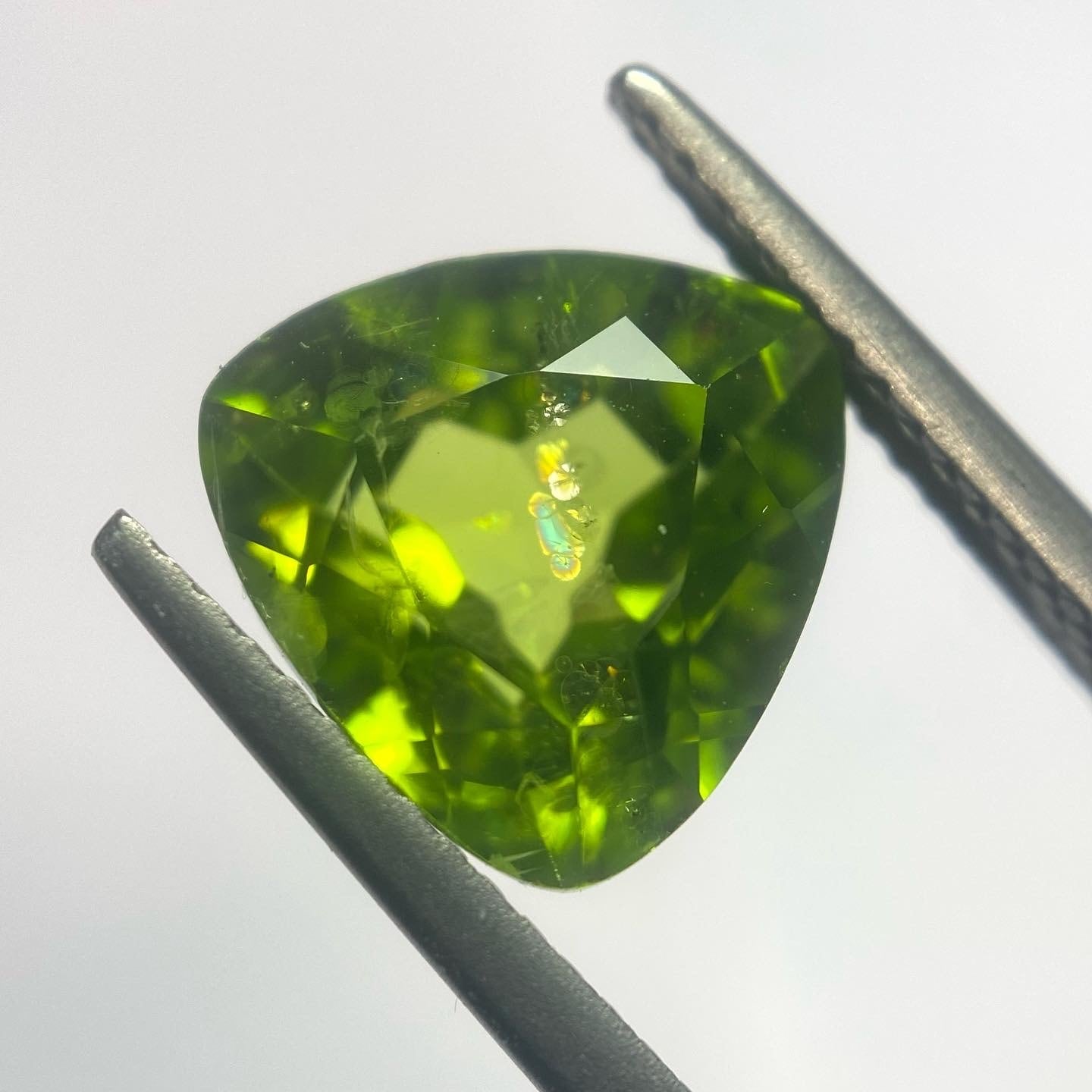 蓮の葉生える太陽の石 リリーパッドペリドット