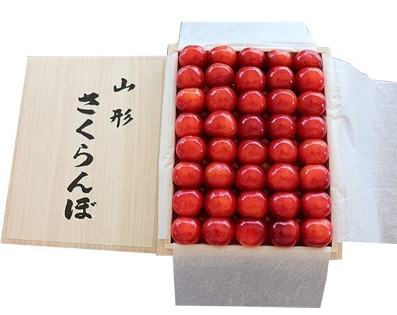 山形市 さくらんぼ紅王 500g2箱バラ詰め 贈答用 【公式通販】