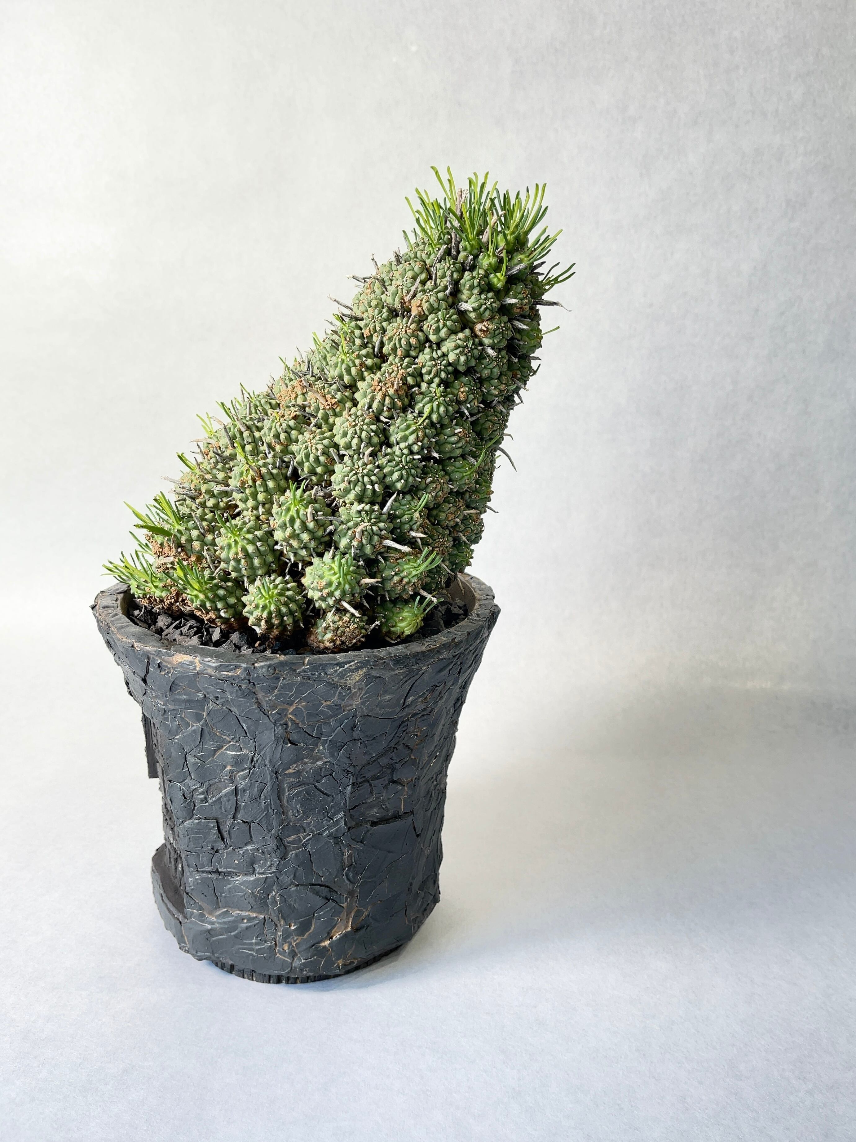 dbdb496fbda9b8098adedafbb7c7d4