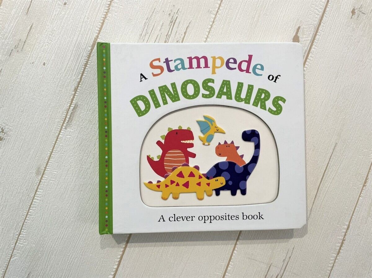 【DP085】 A Stampede of Dinosaurs / picture book
